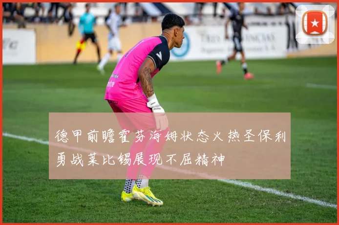 德甲前瞻霍芬海姆状态火热圣保利勇战莱比锡展现不屈精神