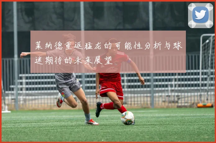 莱纳德重返猛龙的可能性分析与球迷期待的未来展望